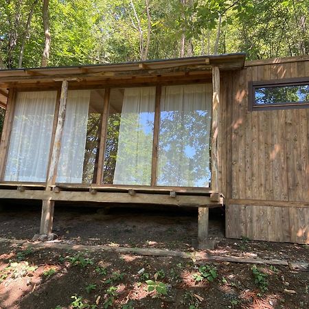 Suxen Nature Experience - Lodge Con Vista Panoramica Prepotto  Екстер'єр фото