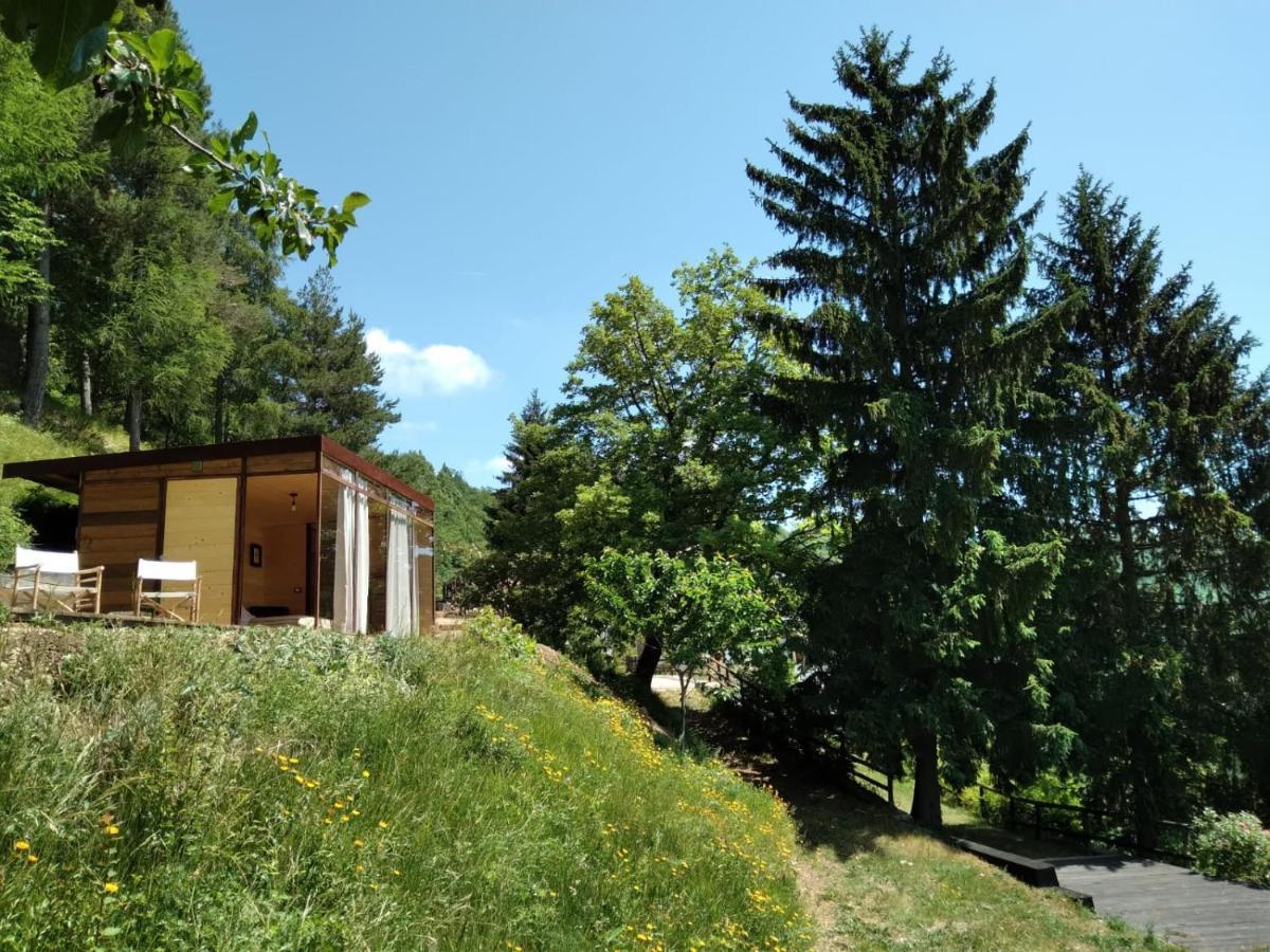 Suxen Nature Experience - Lodge Con Vista Panoramica Prepotto  Екстер'єр фото